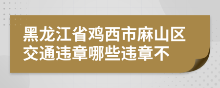 黑龙江省鸡西市麻山区交通违章哪些违章不