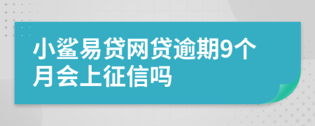 小鲨易贷网贷逾期9个月会上征信吗