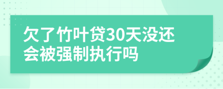 欠了竹叶贷30天没还会被强制执行吗