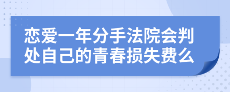 恋爱一年分手法院会判处自己的青春损失费么