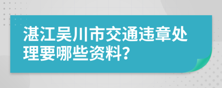 湛江吴川市交通违章处理要哪些资料？