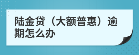 陆金贷（大额普惠）逾期怎么办