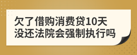 欠了借购消费贷10天没还法院会强制执行吗