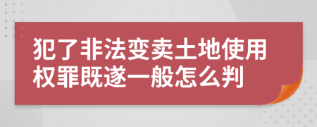 犯了非法变卖土地使用权罪既遂一般怎么判
