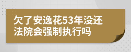 欠了安逸花53年没还法院会强制执行吗