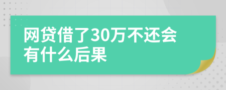 网贷借了30万不还会有什么后果