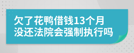 欠了花鸭借钱13个月没还法院会强制执行吗