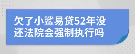 欠了小鲨易贷52年没还法院会强制执行吗