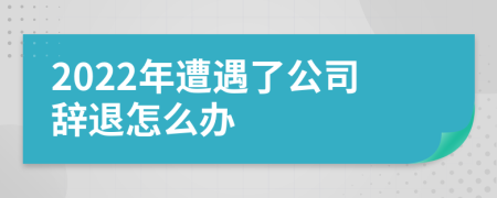 2022年遭遇了公司辞退怎么办