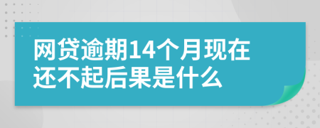 网贷逾期14个月现在还不起后果是什么