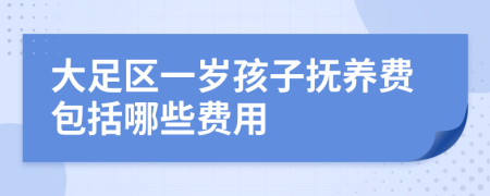 大足区一岁孩子抚养费包括哪些费用