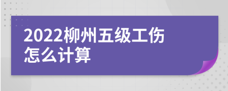 2022柳州五级工伤怎么计算