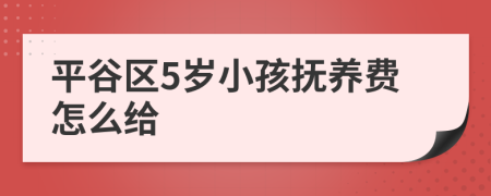平谷区5岁小孩抚养费怎么给