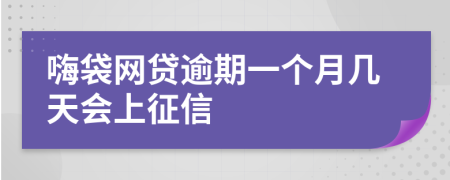 嗨袋网贷逾期一个月几天会上征信