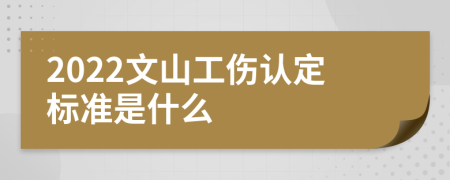 2022文山工伤认定标准是什么