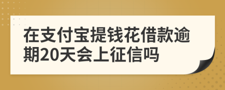 在支付宝提钱花借款逾期20天会上征信吗