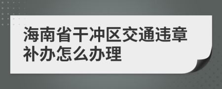 海南省干冲区交通违章补办怎么办理
