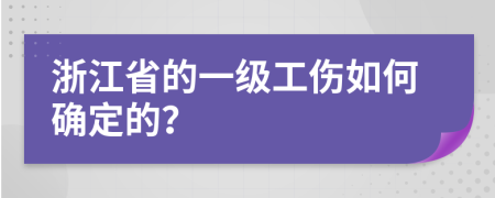 浙江省的一级工伤如何确定的？