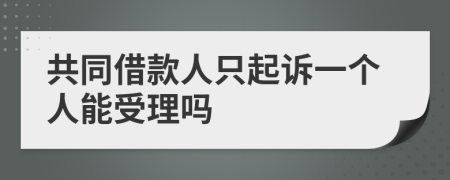 共同借款人只起诉一个人能受理吗