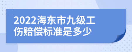 2022海东市九级工伤赔偿标准是多少