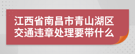 江西省南昌市青山湖区交通违章处理要带什么