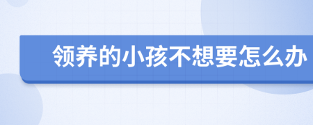 领养的小孩不想要怎么办