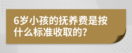 6岁小孩的抚养费是按什么标准收取的？