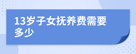 13岁子女抚养费需要多少