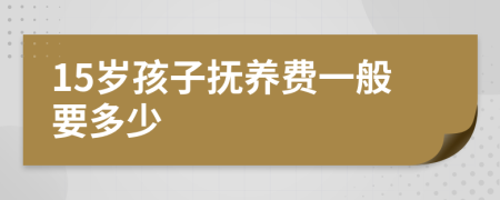 15岁孩子抚养费一般要多少