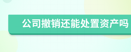 公司撤销还能处置资产吗