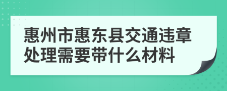 惠州市惠东县交通违章处理需要带什么材料