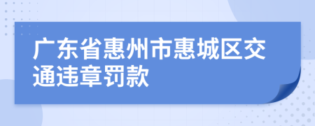 广东省惠州市惠城区交通违章罚款