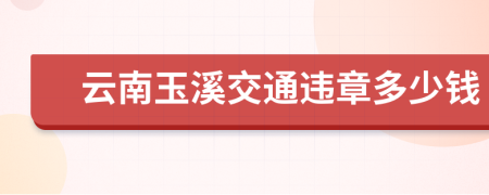 云南玉溪交通违章多少钱