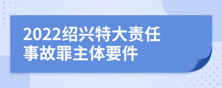 2022绍兴特大责任事故罪主体要件