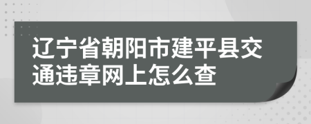 辽宁省朝阳市建平县交通违章网上怎么查