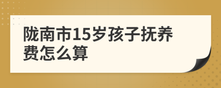 陇南市15岁孩子抚养费怎么算