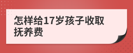 怎样给17岁孩子收取抚养费