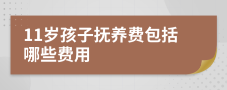 11岁孩子抚养费包括哪些费用