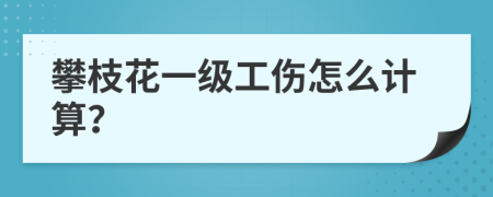 攀枝花一级工伤怎么计算？