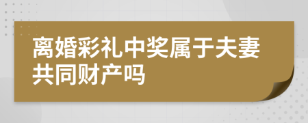 离婚彩礼中奖属于夫妻共同财产吗