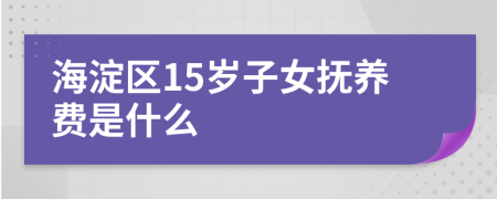 海淀区15岁子女抚养费是什么