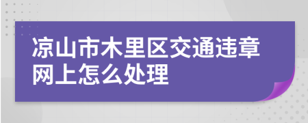 凉山市木里区交通违章网上怎么处理