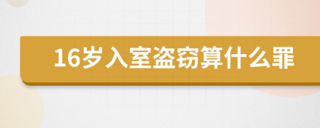 16岁入室盗窃算什么罪