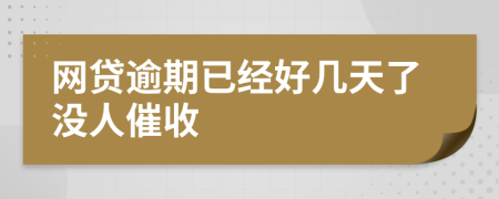 网贷逾期已经好几天了没人催收