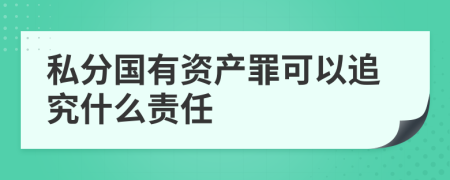 私分国有资产罪可以追究什么责任