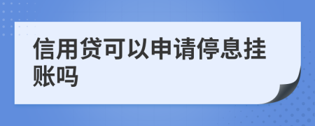 信用贷可以申请停息挂账吗