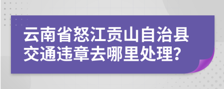 云南省怒江贡山自治县交通违章去哪里处理？