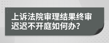 上诉法院审理结果终审迟迟不开庭如何办？