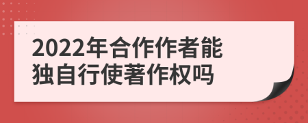 2022年合作作者能独自行使著作权吗