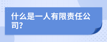 什么是一人有限责任公司？